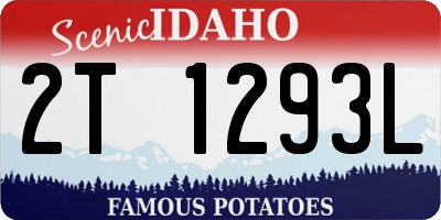 ID license plate 2T1293L
