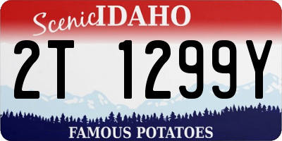 ID license plate 2T1299Y