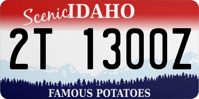 ID license plate 2T1300Z