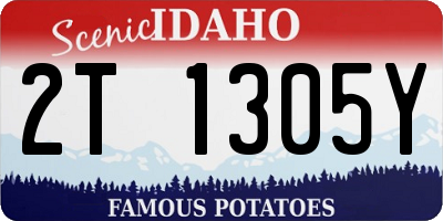 ID license plate 2T1305Y
