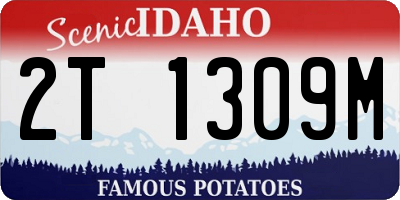 ID license plate 2T1309M