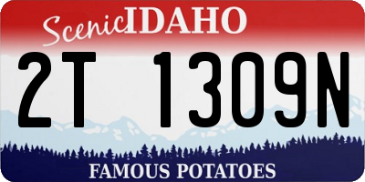 ID license plate 2T1309N