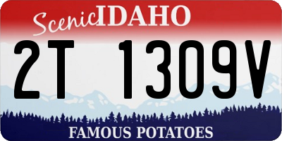 ID license plate 2T1309V