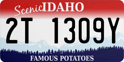 ID license plate 2T1309Y
