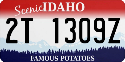 ID license plate 2T1309Z