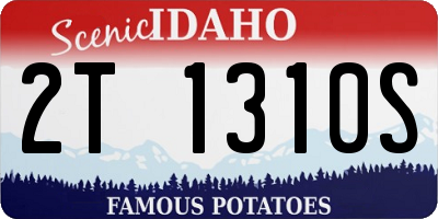 ID license plate 2T1310S