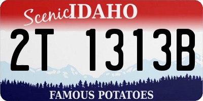ID license plate 2T1313B