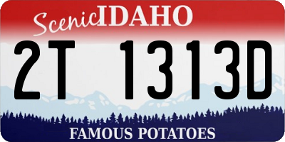 ID license plate 2T1313D