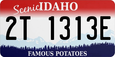ID license plate 2T1313E