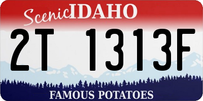 ID license plate 2T1313F
