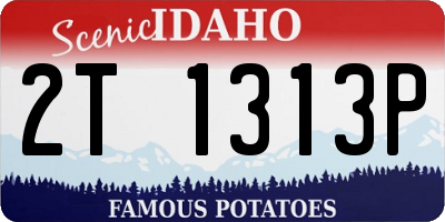 ID license plate 2T1313P