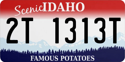 ID license plate 2T1313T