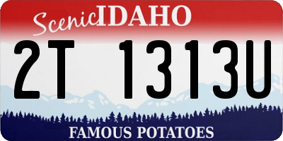 ID license plate 2T1313U