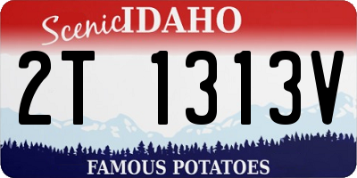 ID license plate 2T1313V