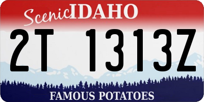 ID license plate 2T1313Z
