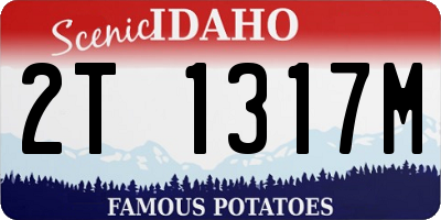 ID license plate 2T1317M