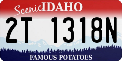 ID license plate 2T1318N