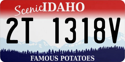 ID license plate 2T1318V