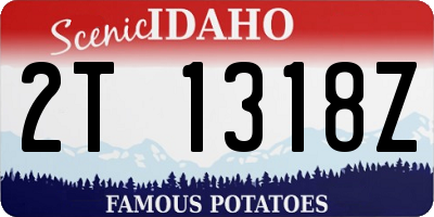 ID license plate 2T1318Z