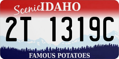 ID license plate 2T1319C
