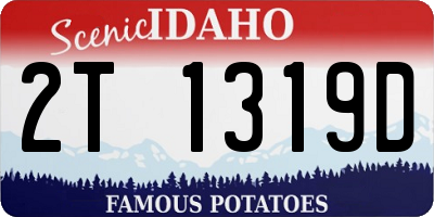 ID license plate 2T1319D