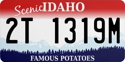 ID license plate 2T1319M