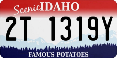 ID license plate 2T1319Y