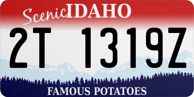 ID license plate 2T1319Z