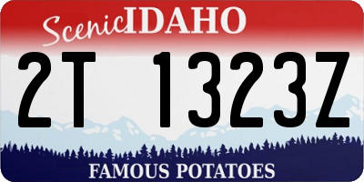 ID license plate 2T1323Z