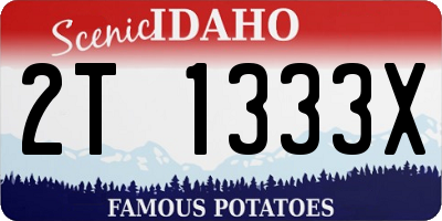 ID license plate 2T1333X