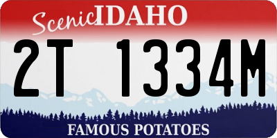 ID license plate 2T1334M