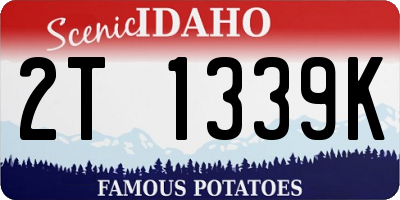 ID license plate 2T1339K
