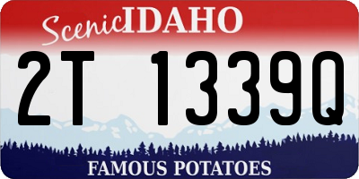 ID license plate 2T1339Q