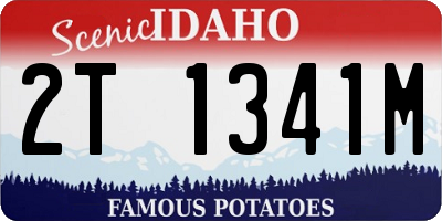 ID license plate 2T1341M