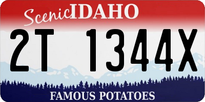 ID license plate 2T1344X