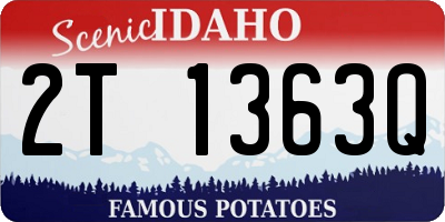 ID license plate 2T1363Q