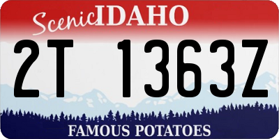 ID license plate 2T1363Z