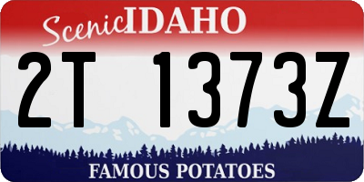 ID license plate 2T1373Z