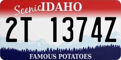ID license plate 2T1374Z