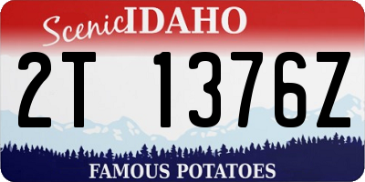 ID license plate 2T1376Z