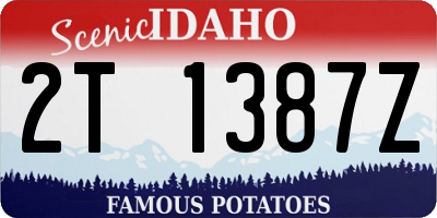 ID license plate 2T1387Z