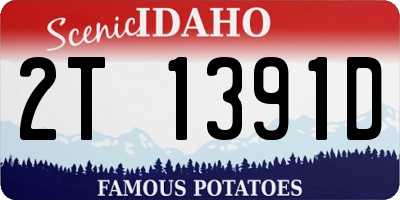 ID license plate 2T1391D