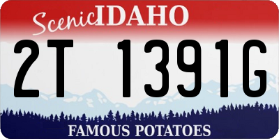 ID license plate 2T1391G
