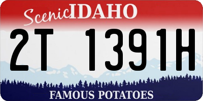 ID license plate 2T1391H