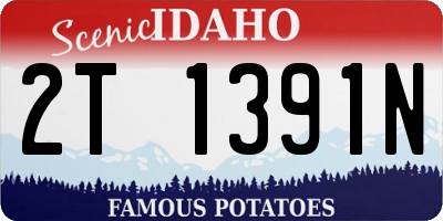 ID license plate 2T1391N