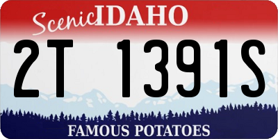 ID license plate 2T1391S