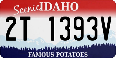 ID license plate 2T1393V