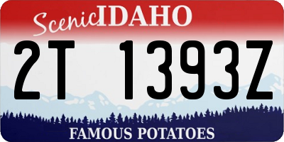 ID license plate 2T1393Z