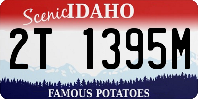 ID license plate 2T1395M