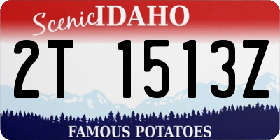 ID license plate 2T1513Z